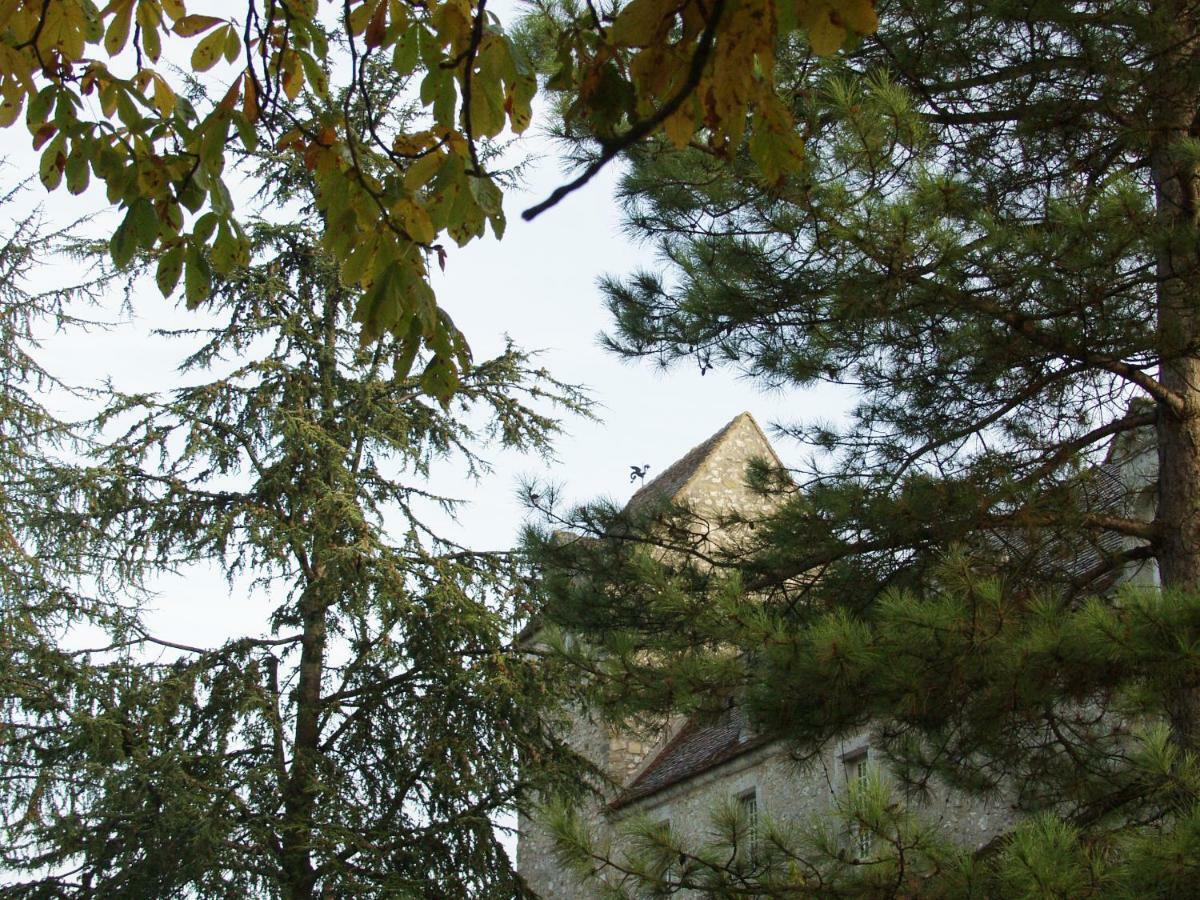 Chateau De Montrame Soisy-Bouy Εξωτερικό φωτογραφία